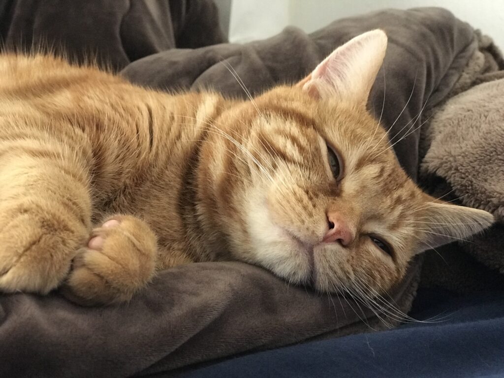 嘘でも疑われにくい「バイトを休む理由」