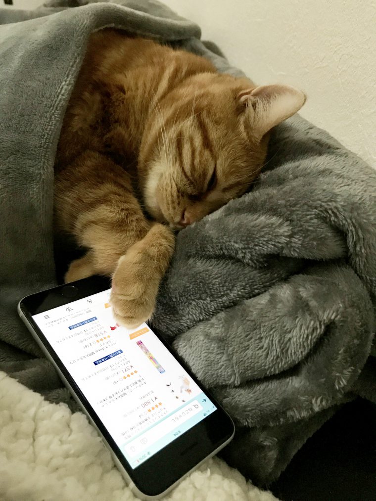 家の用事・家族関連の急用が入ってしまった系